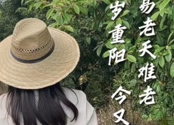 【重陽節(jié)桂花糕】“桂花雨”落在松軟的米糕上，連著桂花蜜的甜味融化在舌尖上，這份獨(dú)屬于秋天的歡迎儀式，連帶著重陽節(jié)的獻(xiàn)禮一起和大家分享！ (2393播放)